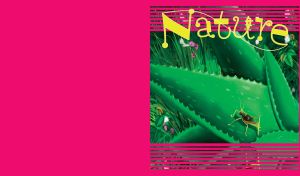 Nature | Aloe Vera and cacti close up on striped backdrop