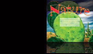 Prickly pear and pipe cactus in a desert with a blue cloudy sky on a black striped