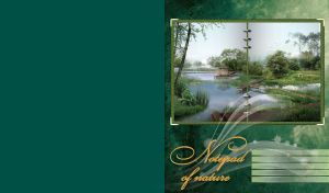 Lake with a pergola and wooden pavements with ducks family on green