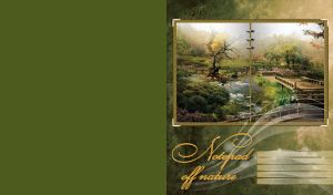 Wooden decks over shallow river surrounded by trees and bushes on green