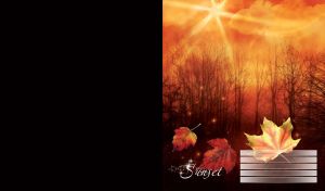 Autumn red sky, bare forest and maple leaves on an orange and black sunset