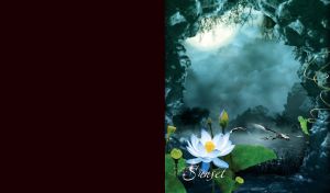 White water within a cave with dramatic sky, lake and birds on a dark teal sunset