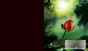 Red single tulip with dramatic sky and trees on a dark and green sunset