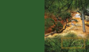 Oil painting of a dark green oak forest in the daytime on a green canvas