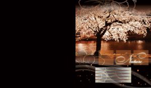 Blooming tree glows in the park lights, by the dark lake in a park alley