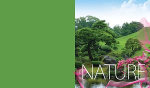 Green hill landscape with well-kept trees, pink bushes and black stones by a river