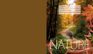 Hedgehog walking down an alley in forest park with autumn trees and fallen leaves