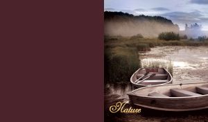 Two wooden boats with paddles moored by the shore on the edge of a foggy forest