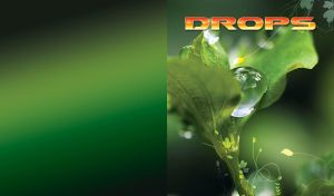 Closeup of a water drop on a green plant, with floral print on a green background