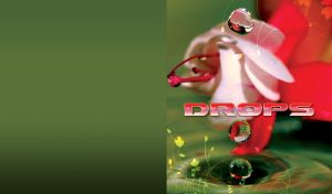 Closeup of water drops falling from a red white flower, with floral print on green