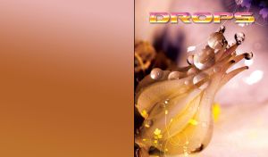 Closeup of water drops on an unusual flower bud, with floral print on orange purple