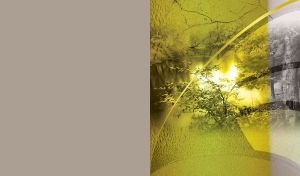 Trees in the water with branches bent over, in olive sepia