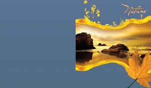 Miniature of golden sea with black coastal rocks on blue tuna