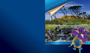 African landscape with trees and small pond and a badge with iris flower on navy