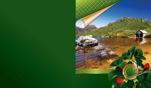 Mountain lake with boat dock and a badge with red strawberry on dark green