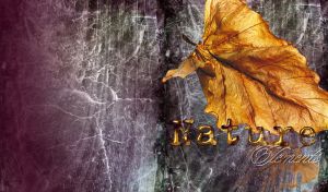 Nature Elements | Autumn Auras on Textured Backdrops