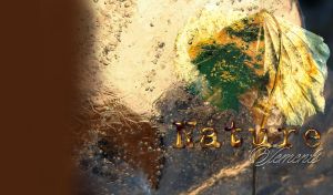 Semi-dry green yellow autumn leaf on textured brown beige and dark gray