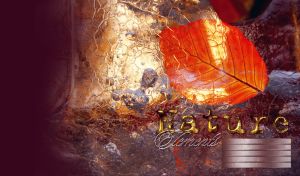 Illuminated red autumn leaf on a streak textured maroon gradient background