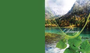 Nature's Reflections | Scenic Lakes and Seasonal Allure