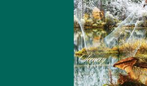 Forest lake scenery - calm water, white and yellow plants and mushroom closeup