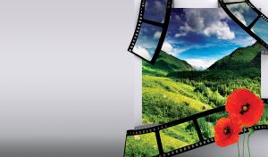 Nature's Cinematic Cuts | Vivid Landscapes On Light Gray