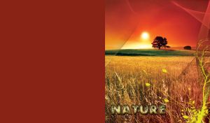 Wheat field at sunset with a tree under the sun, mesh and flower silhouettes decor