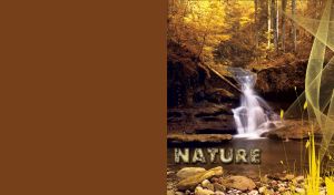 Waterfall in the forest decorated with mesh and flowers on an ocher background