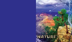 Mountain view with green trees on rocks, mesh and flower decor