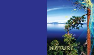 Calm lake and a pine tree in front with mesh and flower silhouettes decor