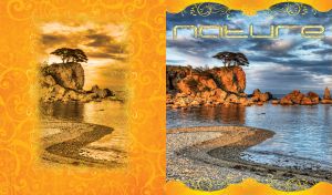 Nature Vistas | Sparkling Hues and Scenic Shores