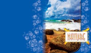 Seashore stones on a beautiful sea beach with waves