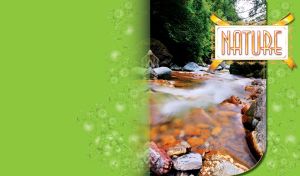 Mountain river with stones on a lime background