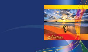 Beautiful sunset on a summer beach