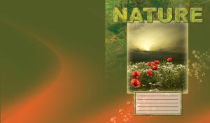 Framed nature travel with beautiful poppies flower field