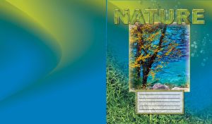 Framed nature travel with a beautiful yellow bloom tree