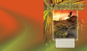 Framed nature travel with a beautiful desert cactus plant