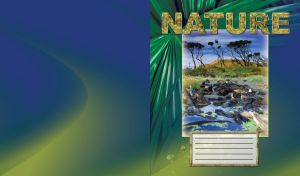 Framed nature travel with a beautiful African landscape and rocky stream up front