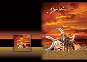 Seashell closeup in the sand on a beach with orange sky