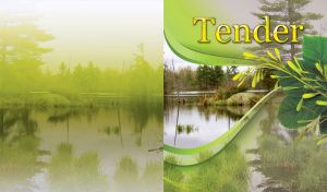Beautiful tender forest lake on lite green background with wavy decor