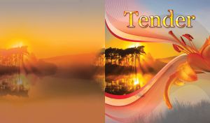 Tender foggy trees with sunbeams though and with orange lily closeup in the front