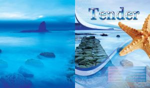 Blue stone dam in the ocean with orange starfish closeup