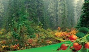 Dense woodland of tall fir trees with yellow red flowers, rose hips closeup and wavy mesh decor