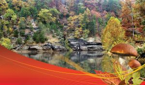 Woodland lake with colorful trees, two mushrooms closeup in the front and wavy mesh decor