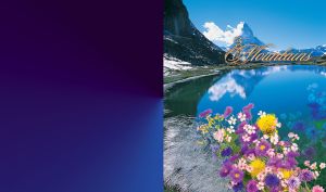 Mountains reflection in the lake with colorful flowers in the front