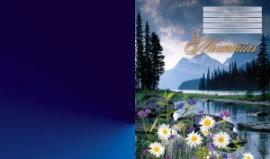 Mountains forest by the water with beautiful chamomile flowers