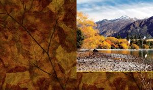 Majestic Mountain Moods | Nature's Tranquil Tapestry