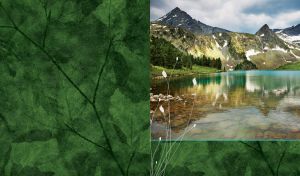 Mountains by the water and white flowers stencil on a green background