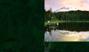 Mountains, spruce forest by the lake and white flowers stencil on a dark green background