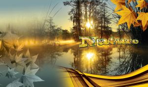 Nature's Symphony | Landscapes Under Sunlight, Clouds and Fog