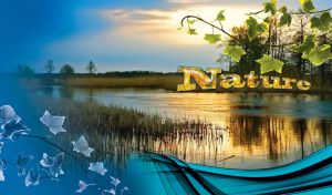 Nature backwater with green leaves on a blue background